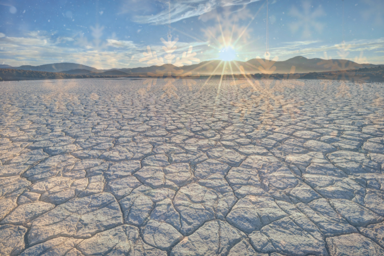  乾燥注意報　2月に実行するべき３行動